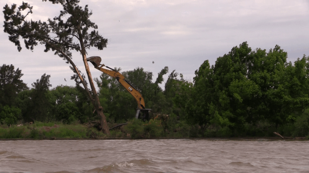 Tigre es yaguareté